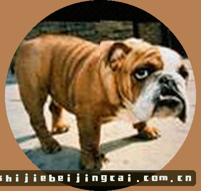 小陈